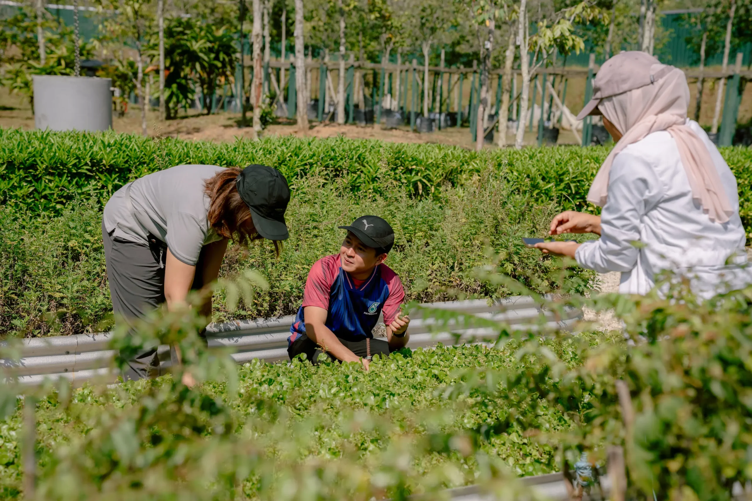 Lush nature forest setting
