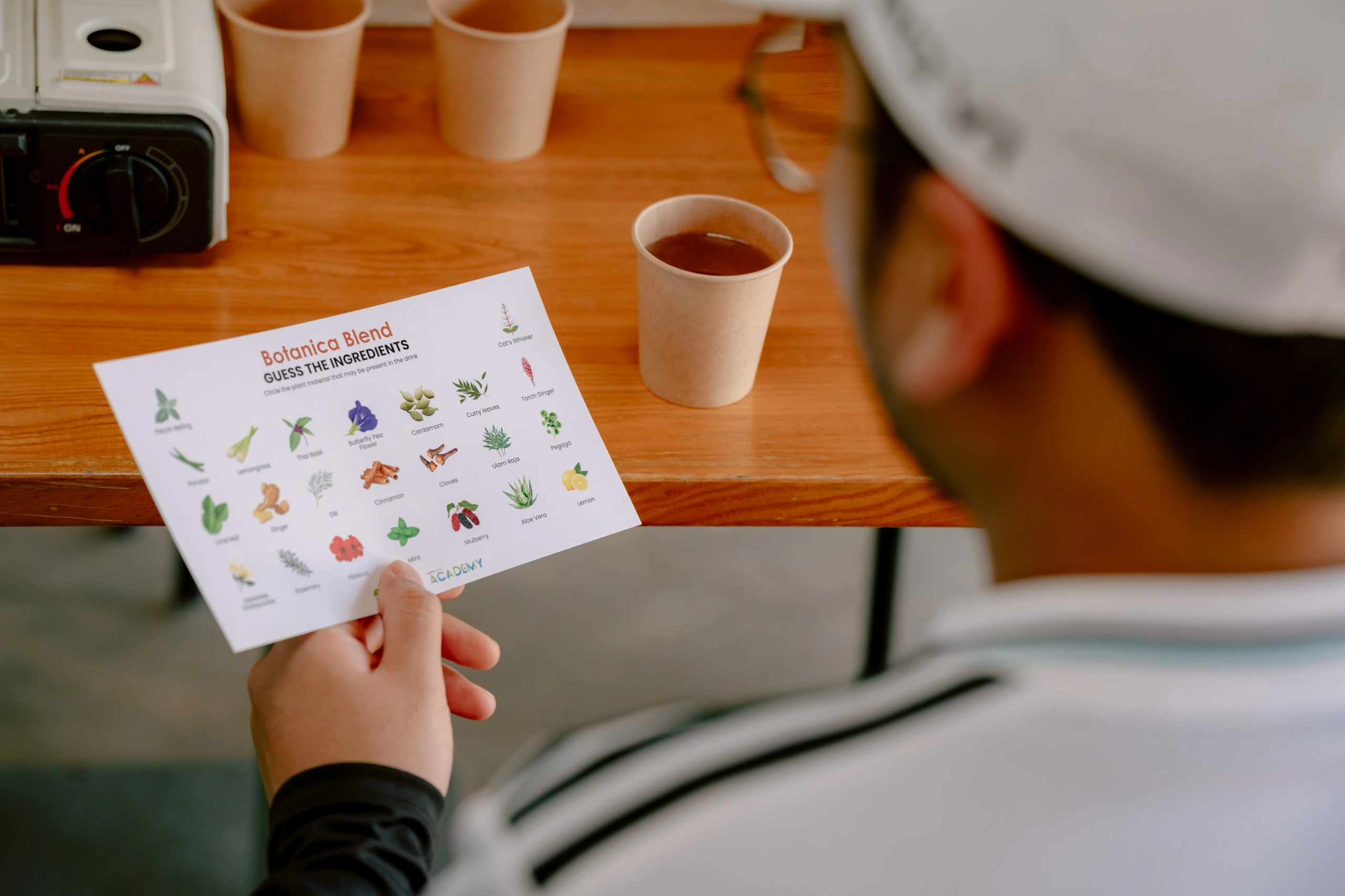 Botanica Balance herbal activity