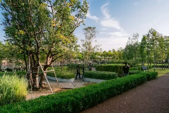 Gamuda Parks wellness activity