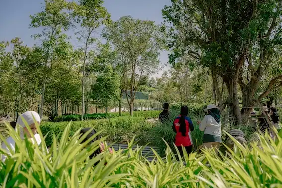 Gamuda Parks nature experience